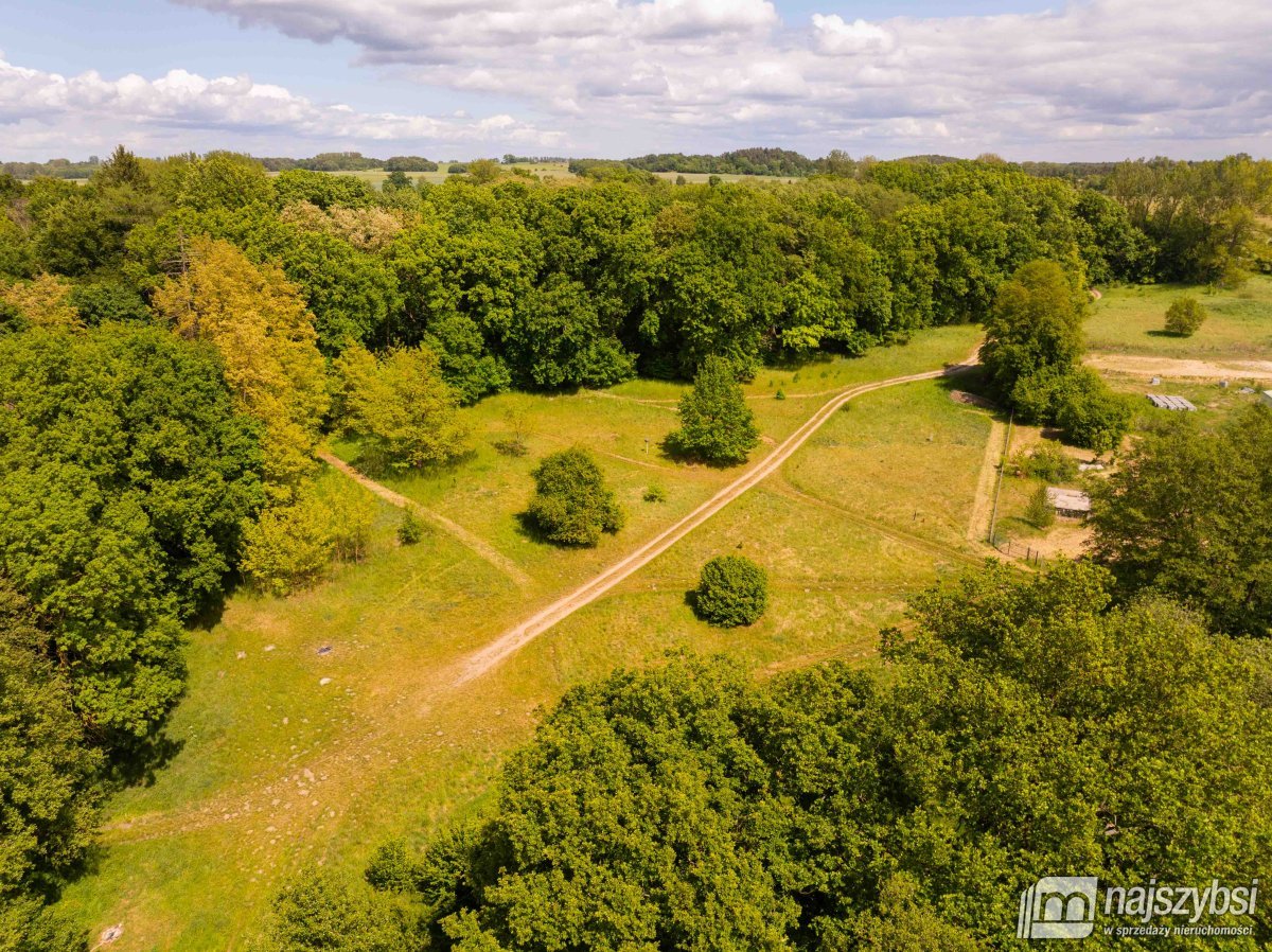 Cieszyno Łobeskie - Działka nad samym jeziorem  (6)