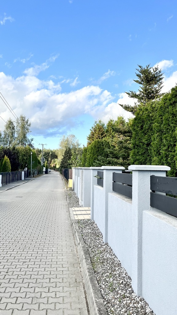 Bliźniak z dala od zgiełku miasta (14)