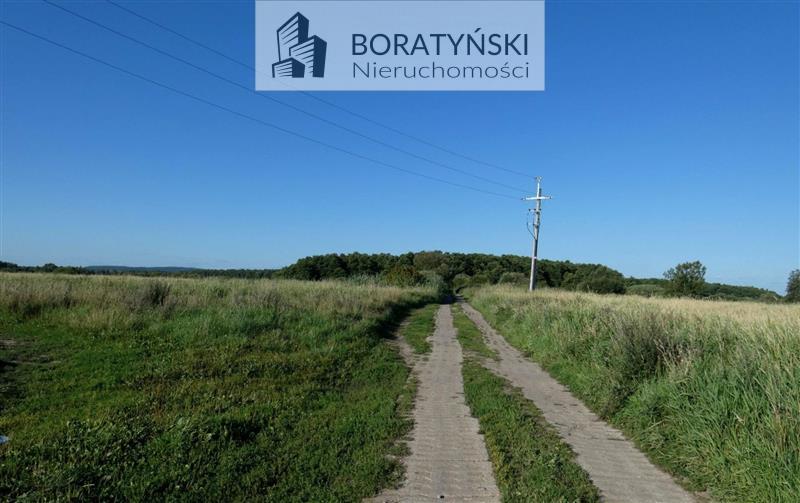 Działka nad jez. Jamno, bezpośrednio przy kanale. (6)