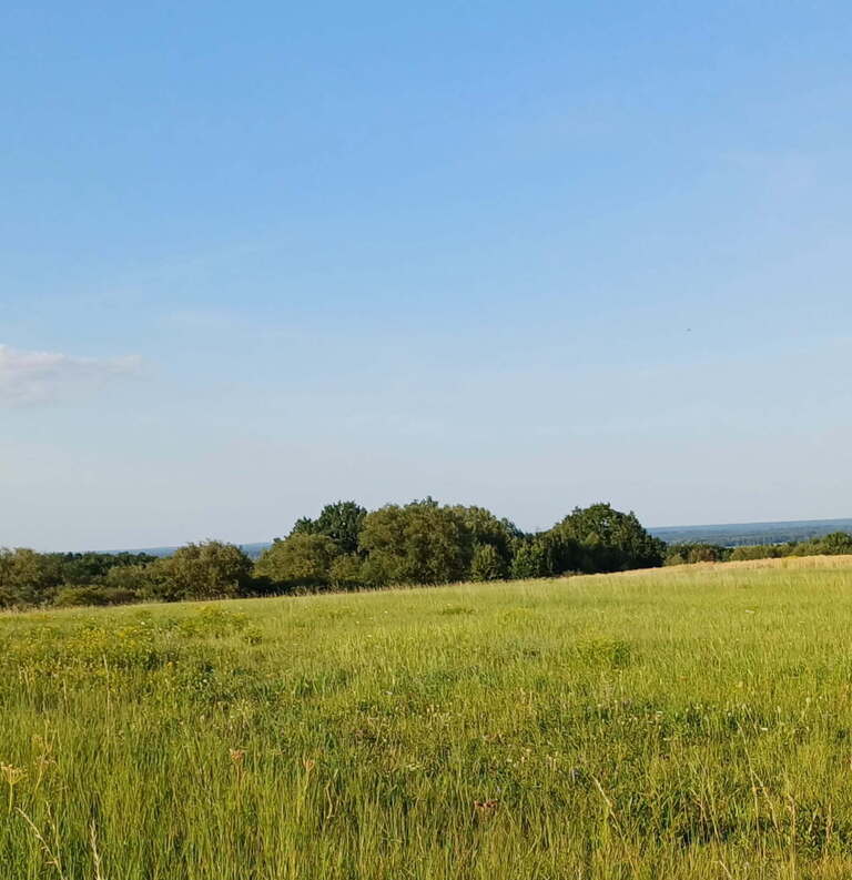 Przyroda na wyciągnięcie ręki! (4)