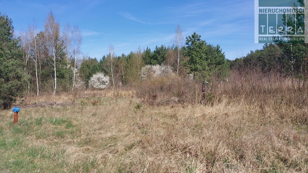 Działka budowlana w Drzonkowie (8)