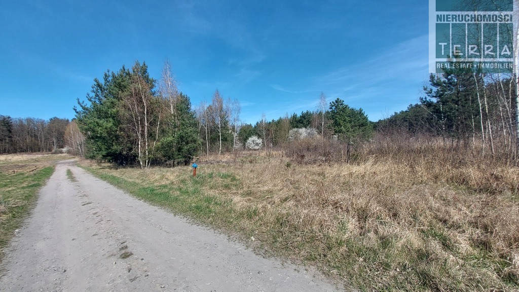 Działka budowlana w Drzonkowie (7)