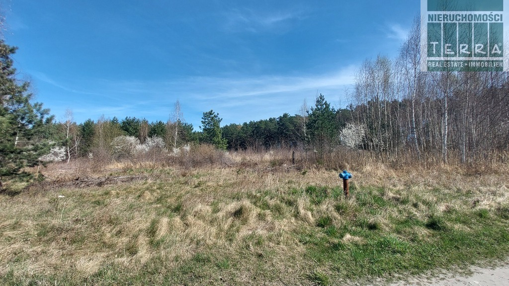 Działka budowlana w Drzonkowie (9)