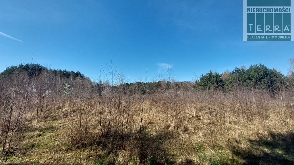 Działka budowlana w Drzonkowie (12)