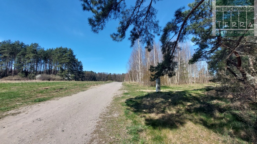 Działka budowlana w Drzonkowie (13)