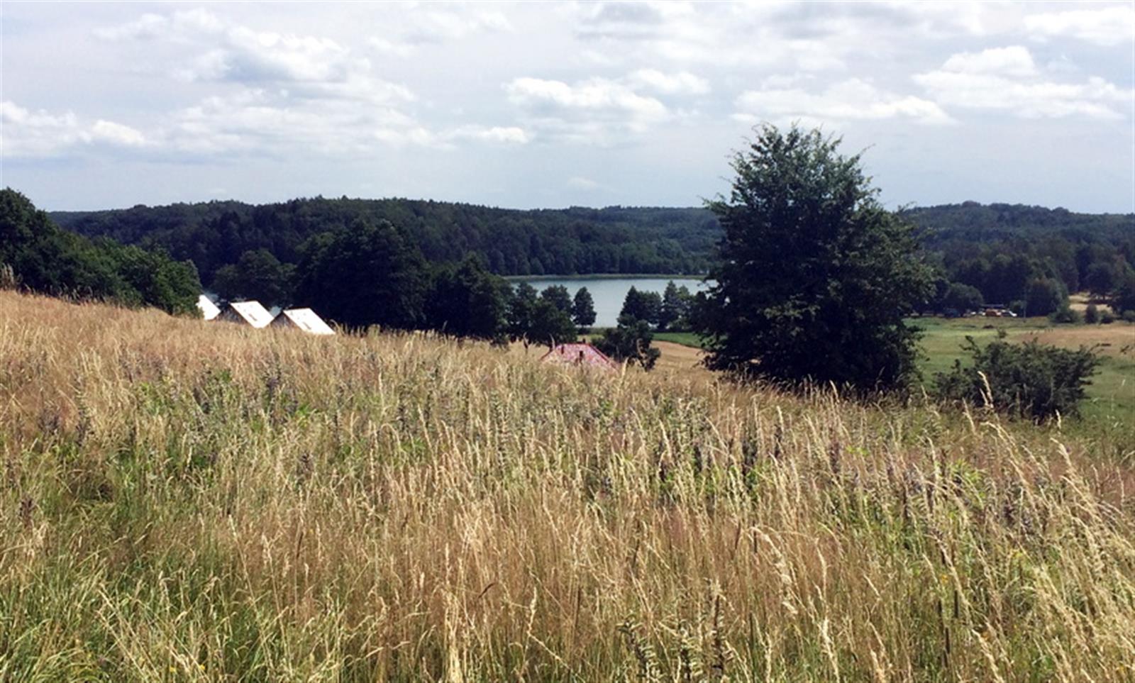 Działka budowlana - Sikory  (10)