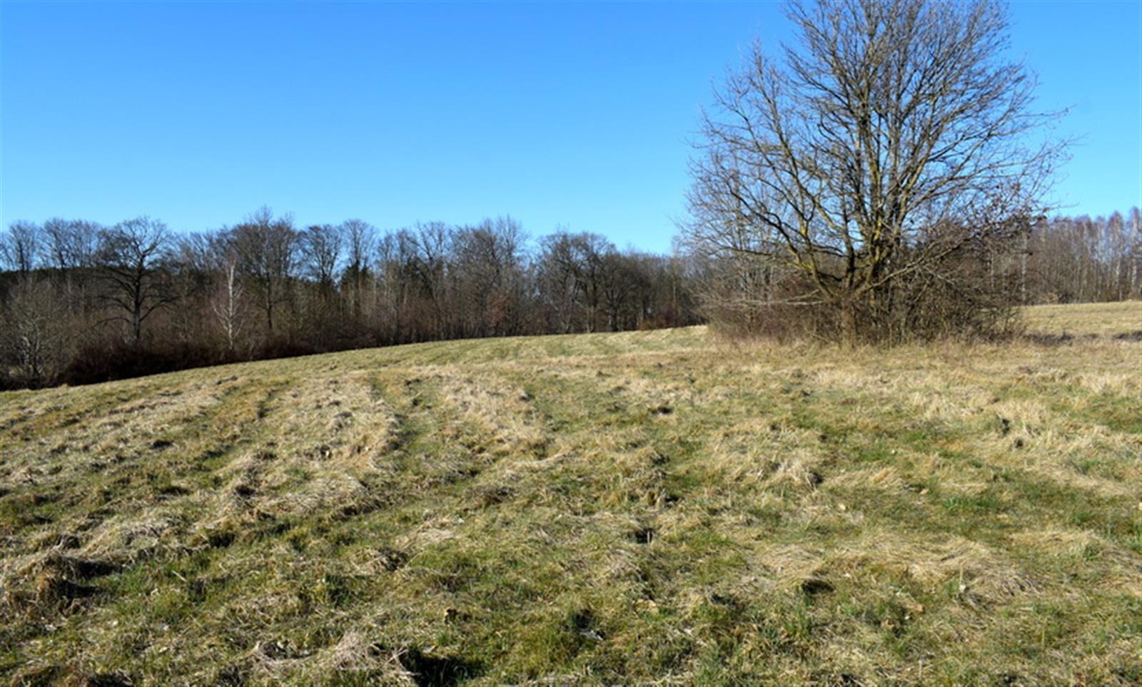 Działka budowlana - Sikory  (13)