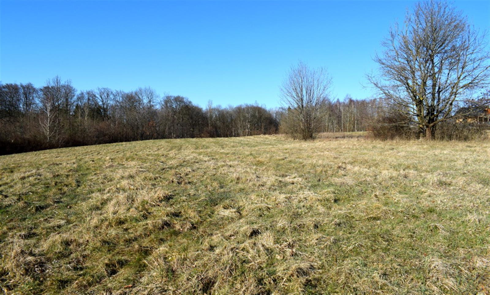 Działka budowlana - Sikory  (14)