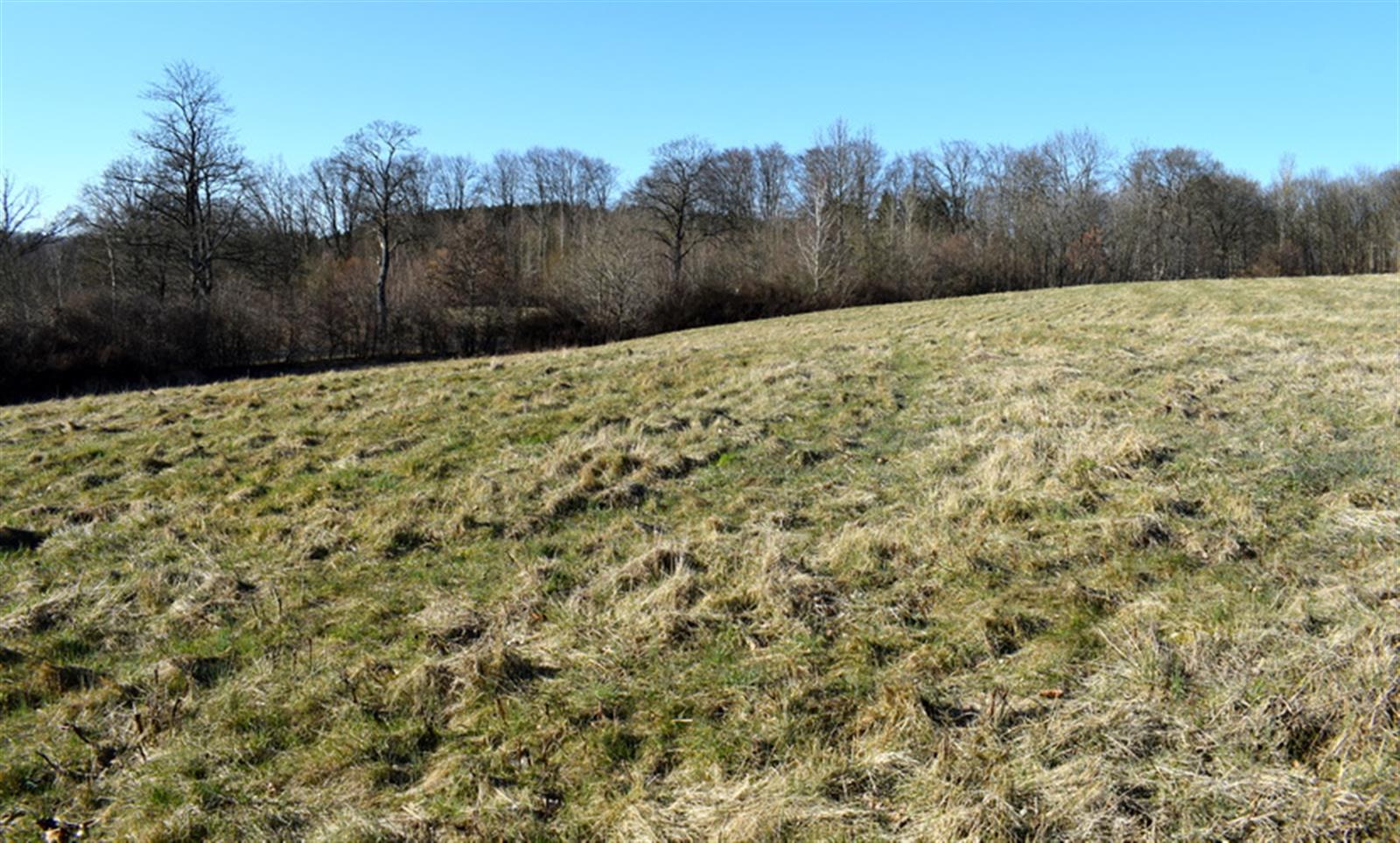 Działka budowlana - Sikory  (15)