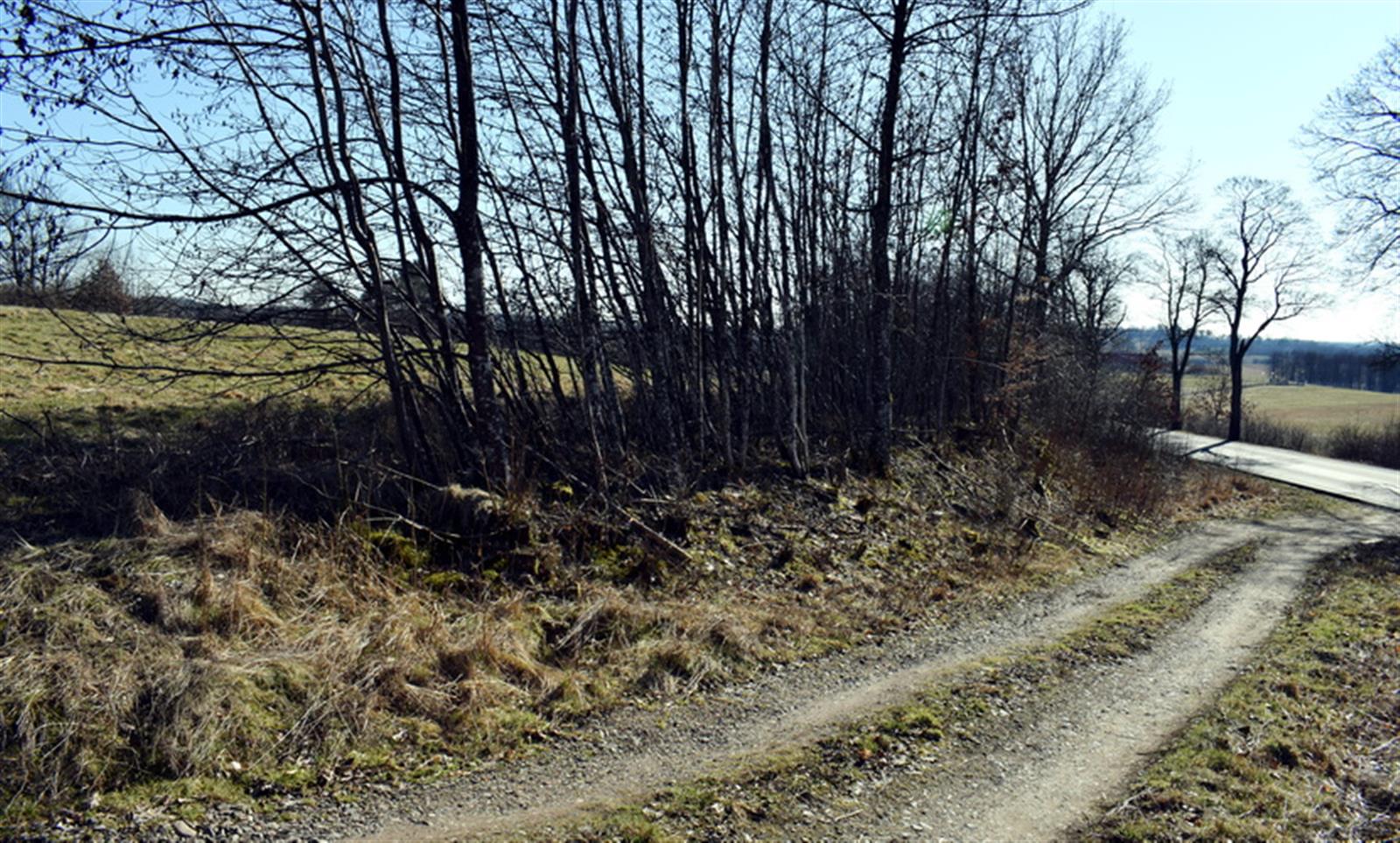 Działka budowlana - Sikory  (5)