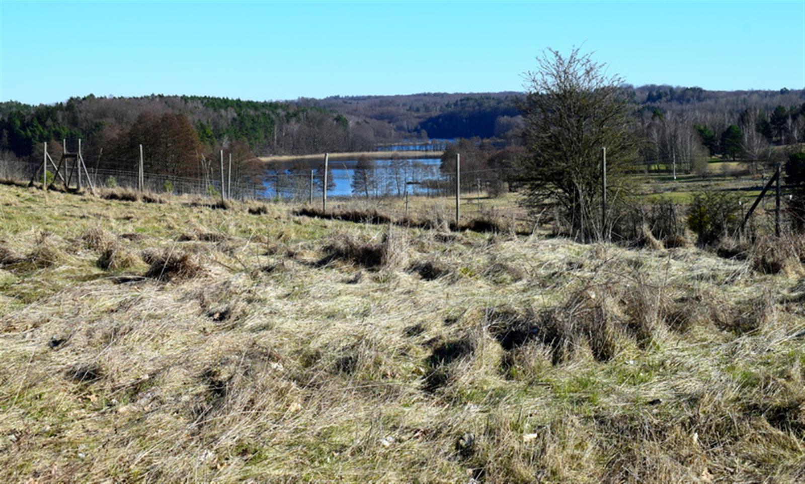 Działka budowlana - Sikory  (9)