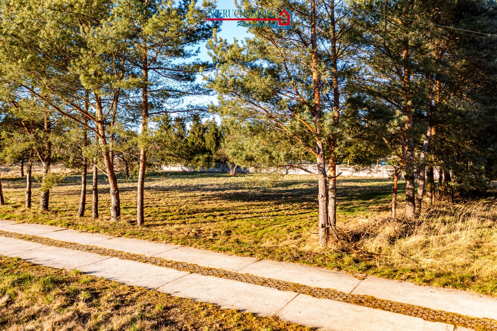 Działka pod lasem na Wyspie Karsibór (2)