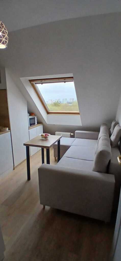 Mieszkanie dwupokojowe (8)