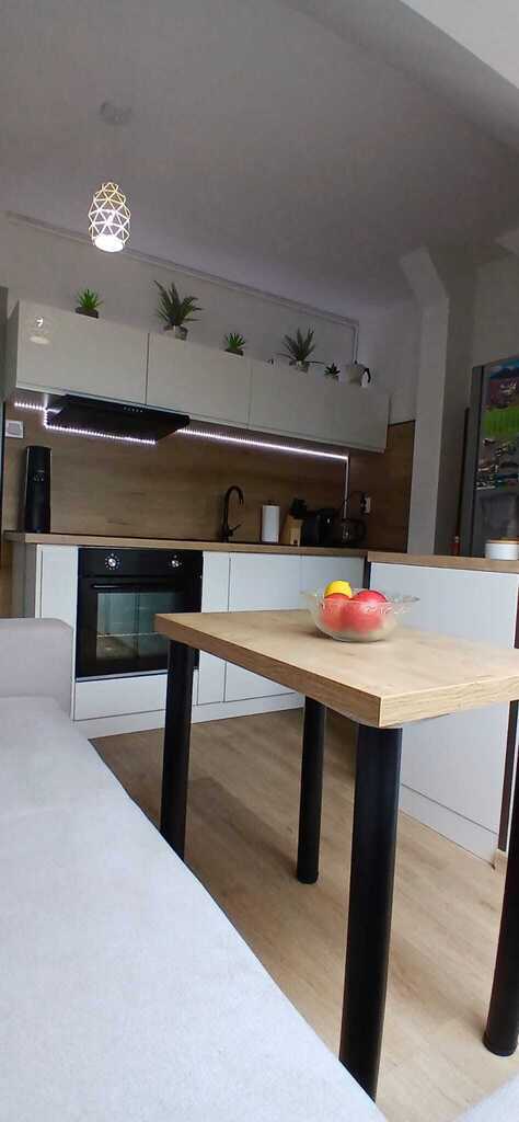 Mieszkanie dwupokojowe (10)