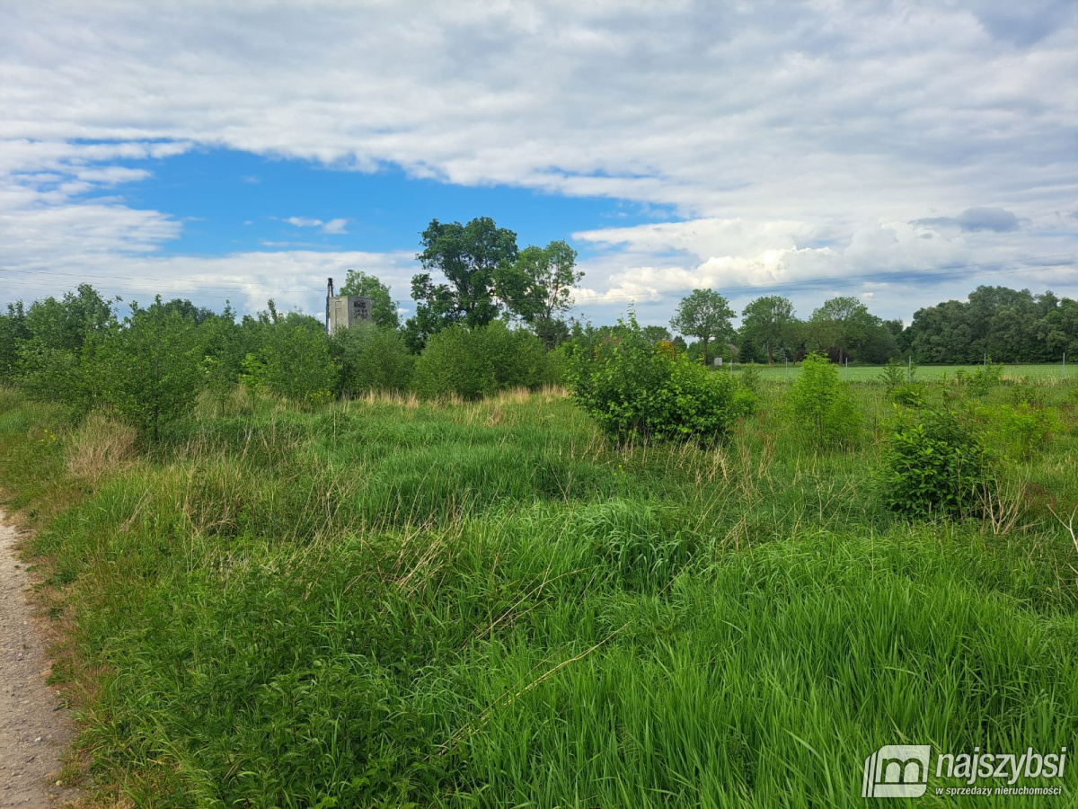 STARA DĄBROWA - działka budowlana  2549 m2, (1)