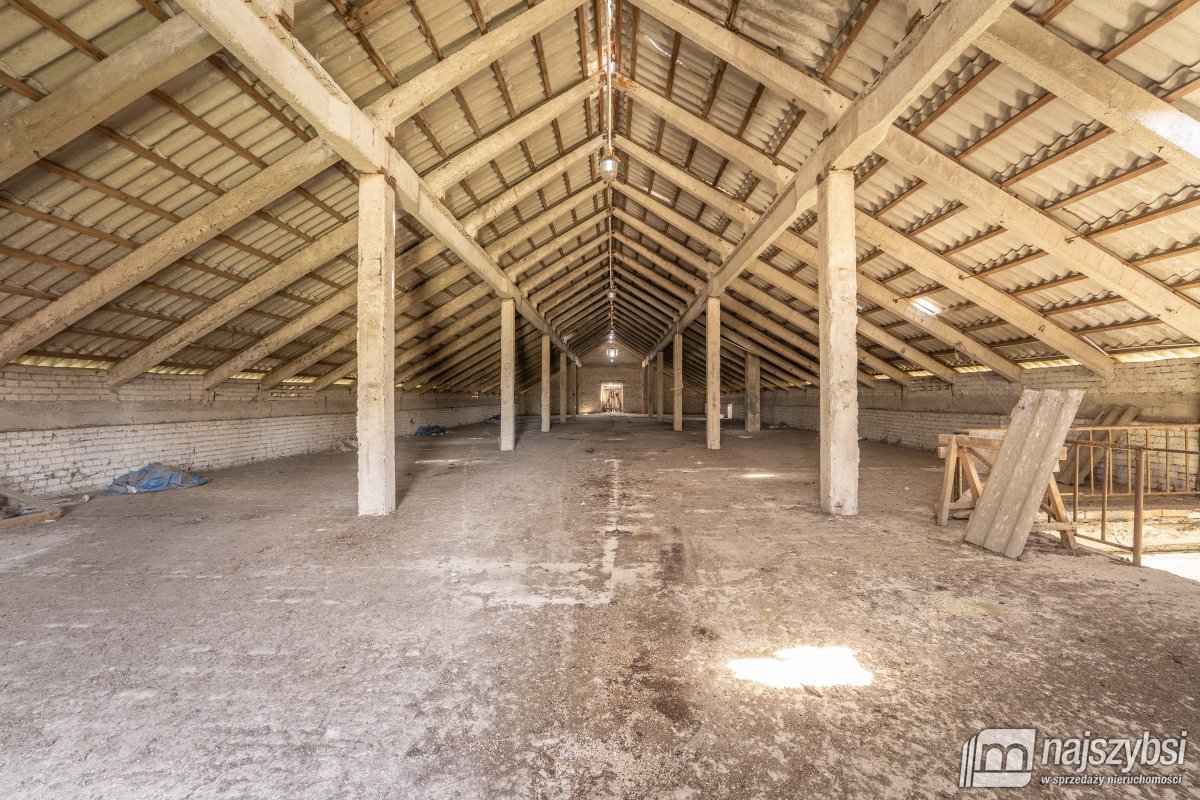 ŻYDOWO- kompleks działek  (10)