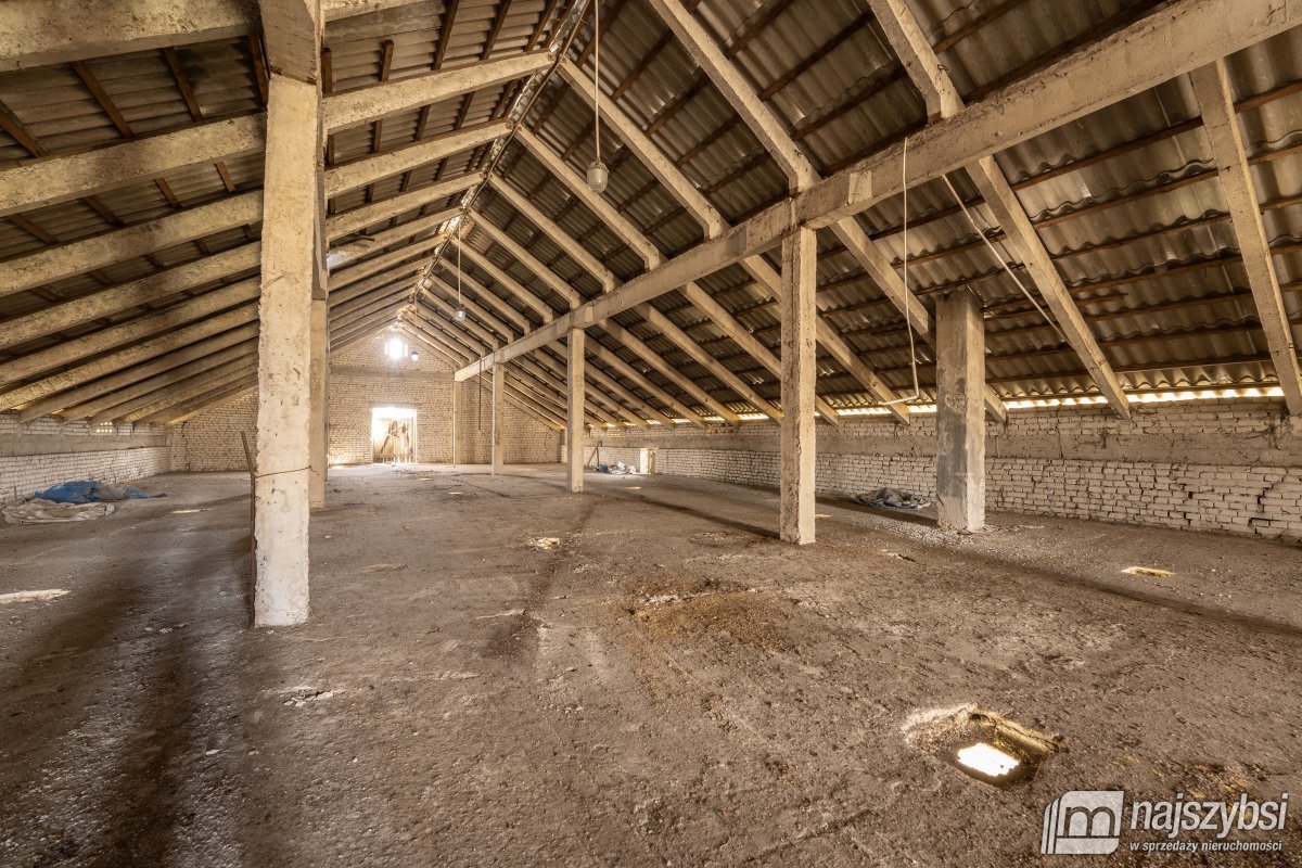 ŻYDOWO- kompleks działek  (11)