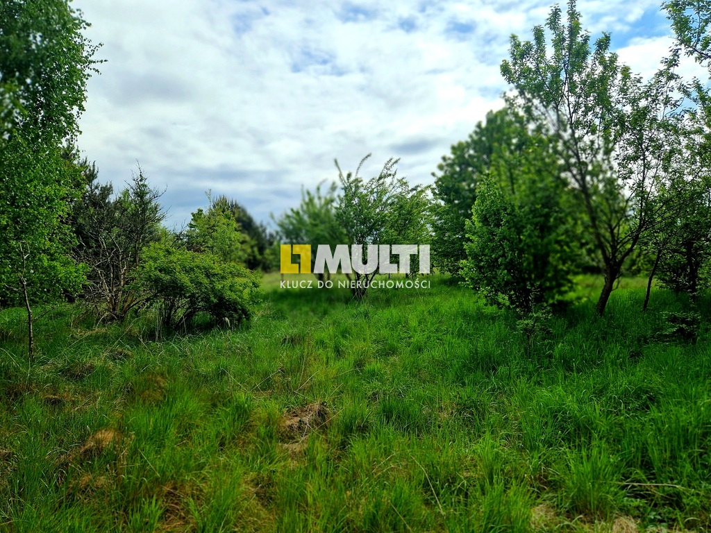 Nieruchomość z potencjałem (6)