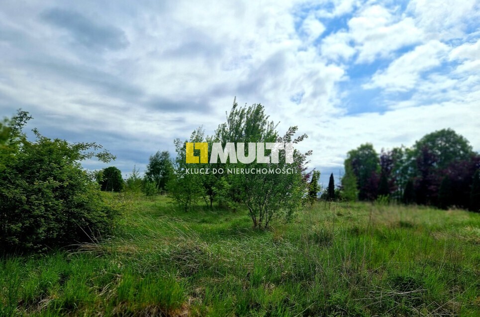 Nieruchomość z potencjałem (5)