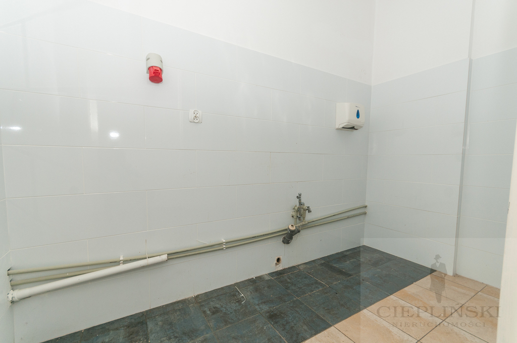 lokal w TOP centrum na gastronomię, handel (6)