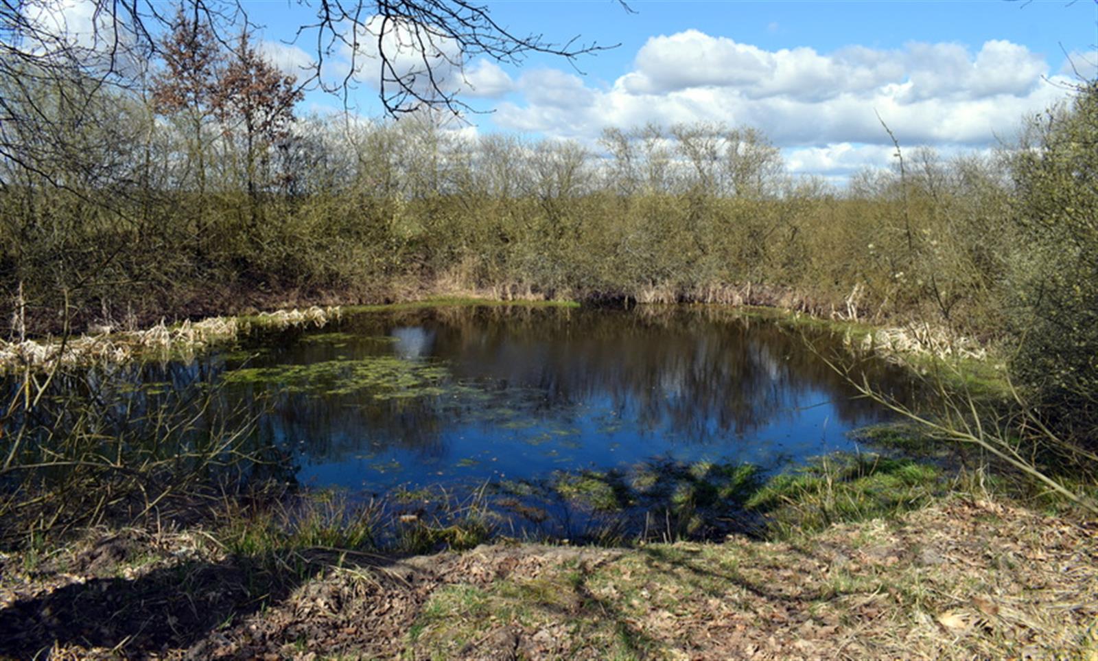 Działka rolna - Drawsko Pomorskie  (10)