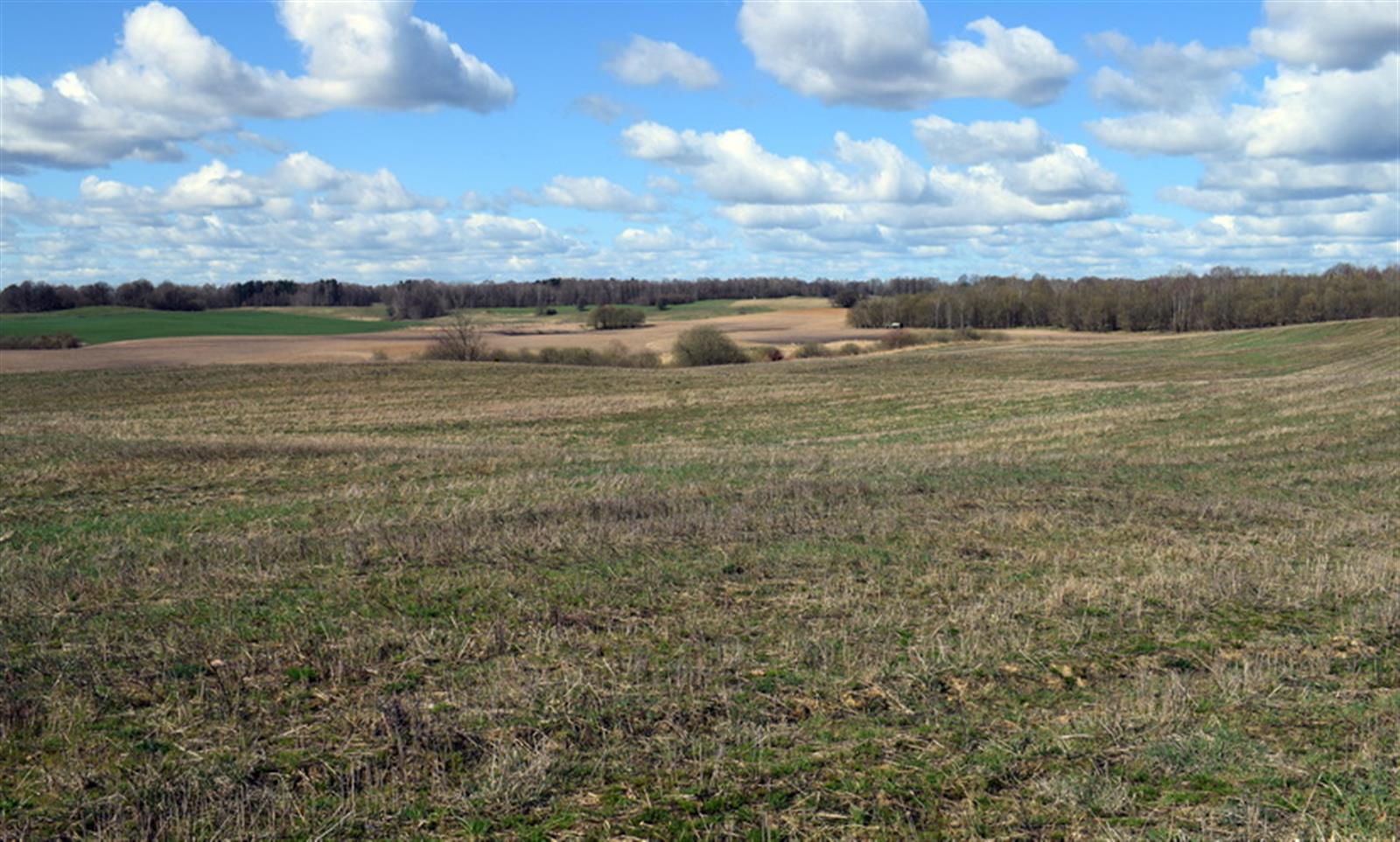 Działka rolna - Drawsko Pomorskie  (11)