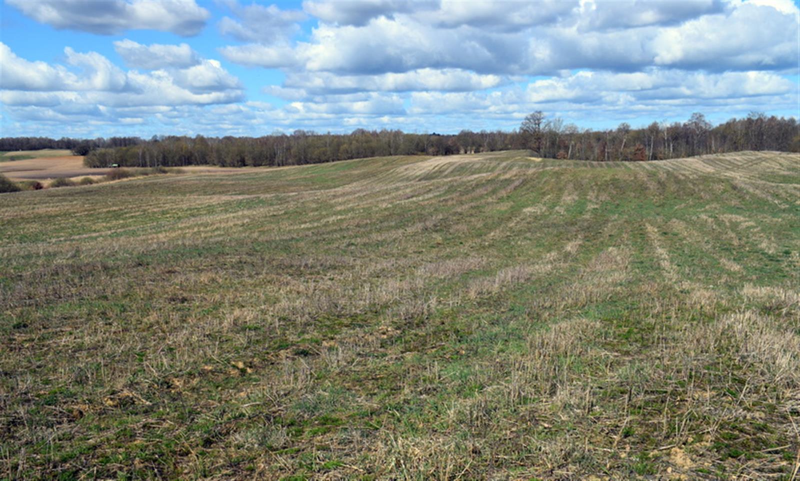 Działka rolna - Drawsko Pomorskie  (12)