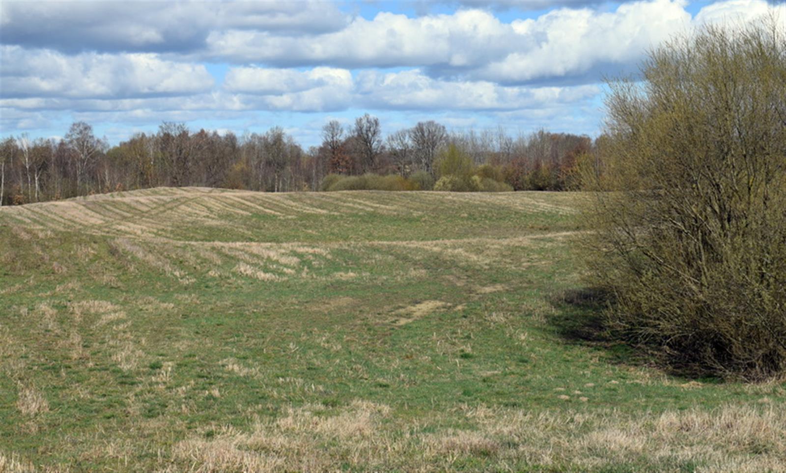 Działka rolna - Drawsko Pomorskie  (13)