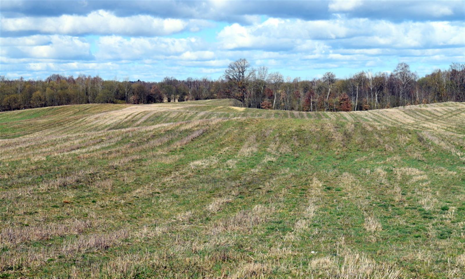 Działka rolna - Drawsko Pomorskie  (14)