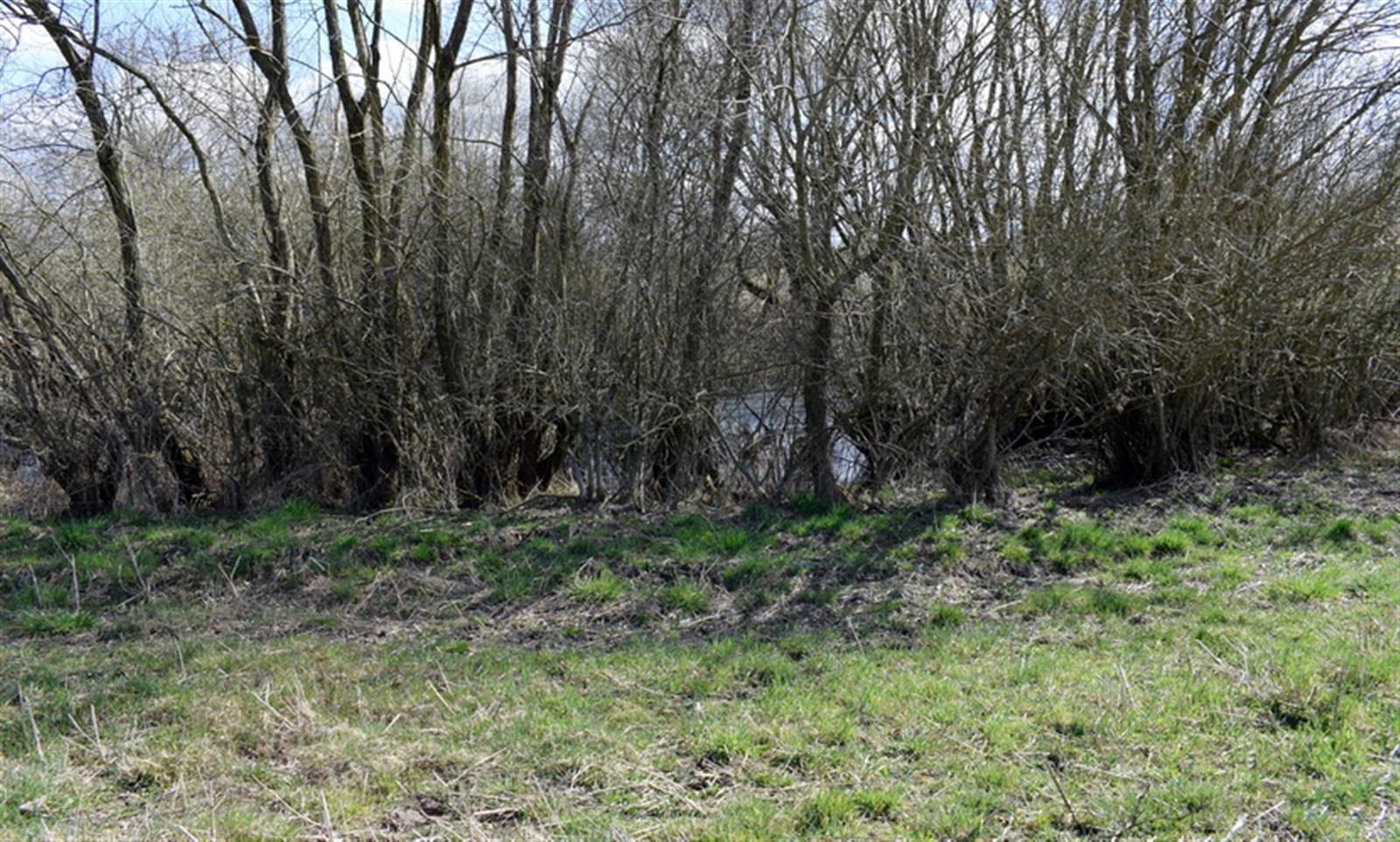 Działka rolna - Drawsko Pomorskie  (15)