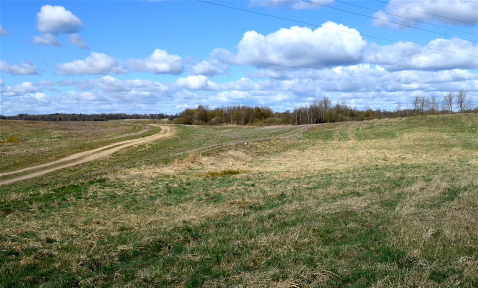 Działka rolna - Drawsko Pomorskie  (4)
