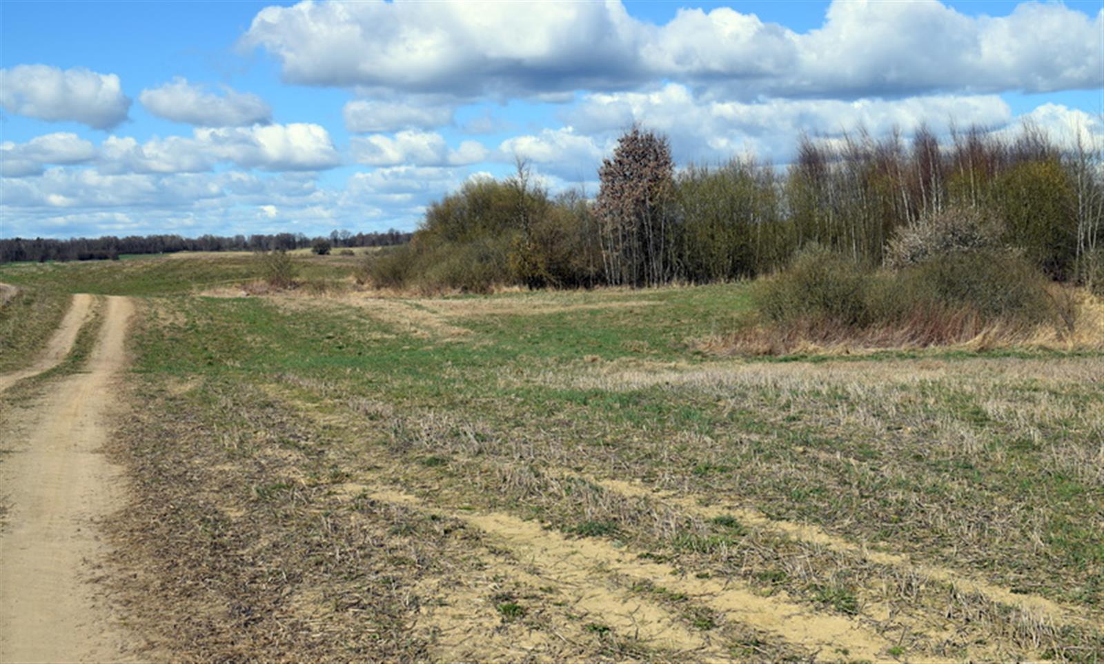 Działka rolna - Drawsko Pomorskie  (5)