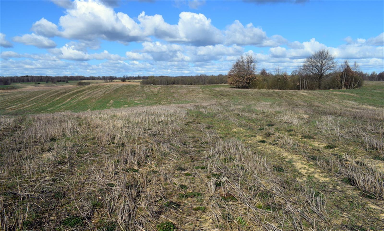 Działka rolna - Drawsko Pomorskie  (6)