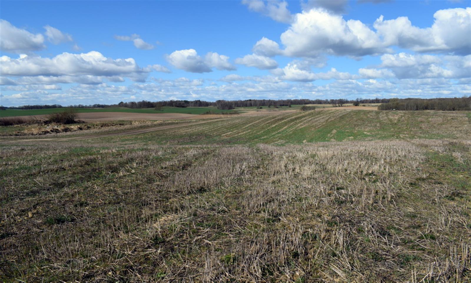 Działka rolna - Drawsko Pomorskie  (7)