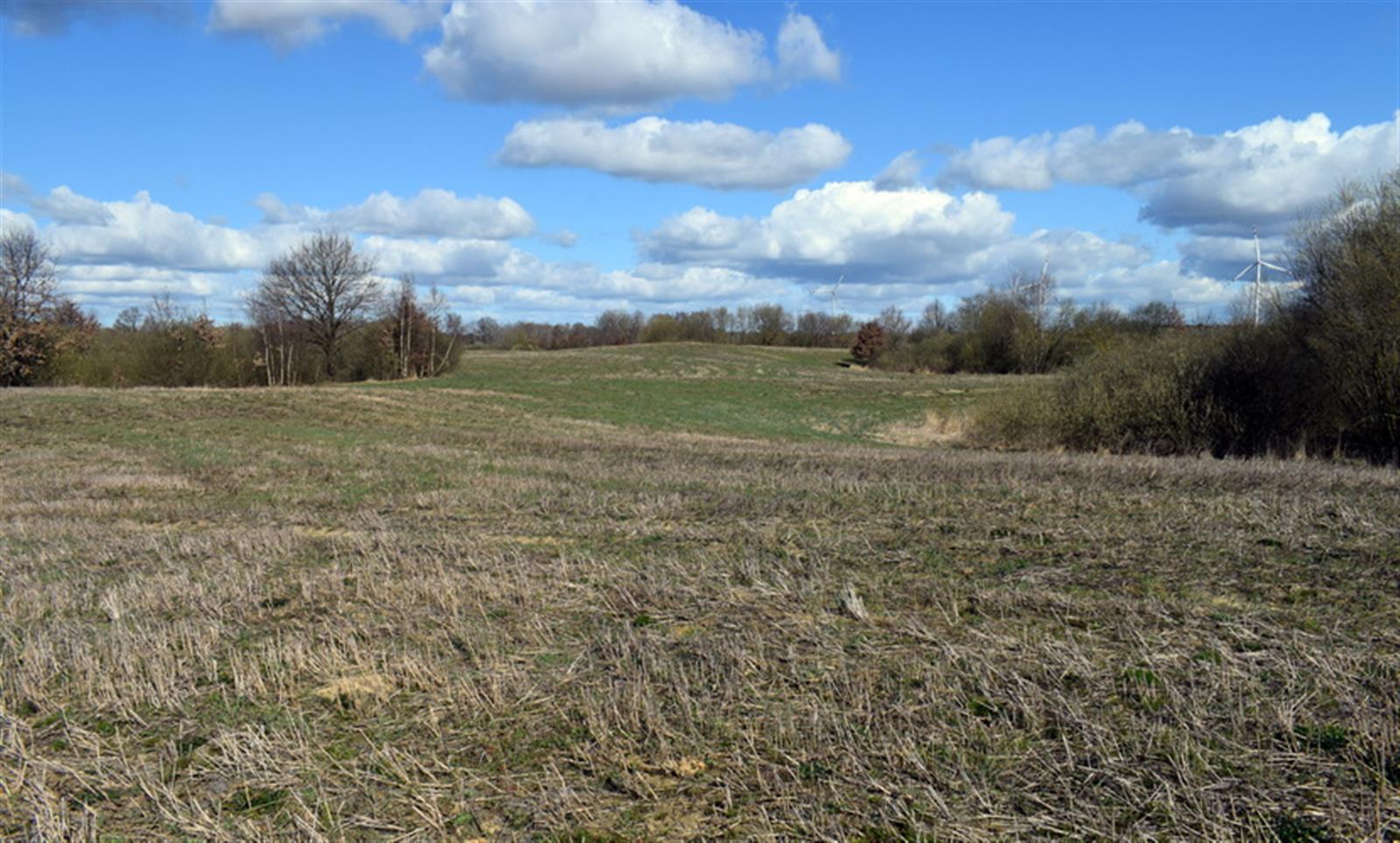 Działka rolna - Drawsko Pomorskie  (8)