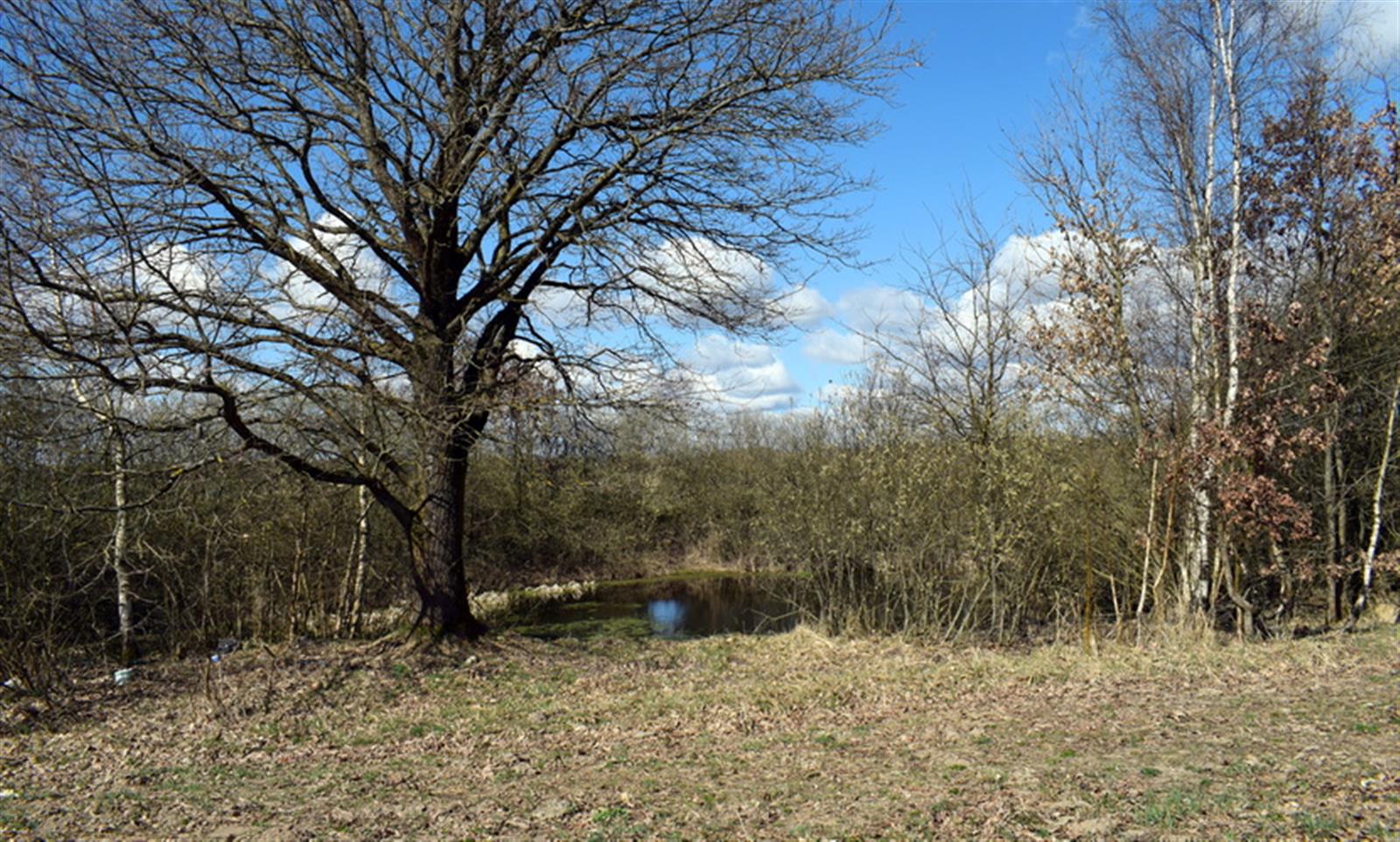 Działka rolna - Drawsko Pomorskie  (9)