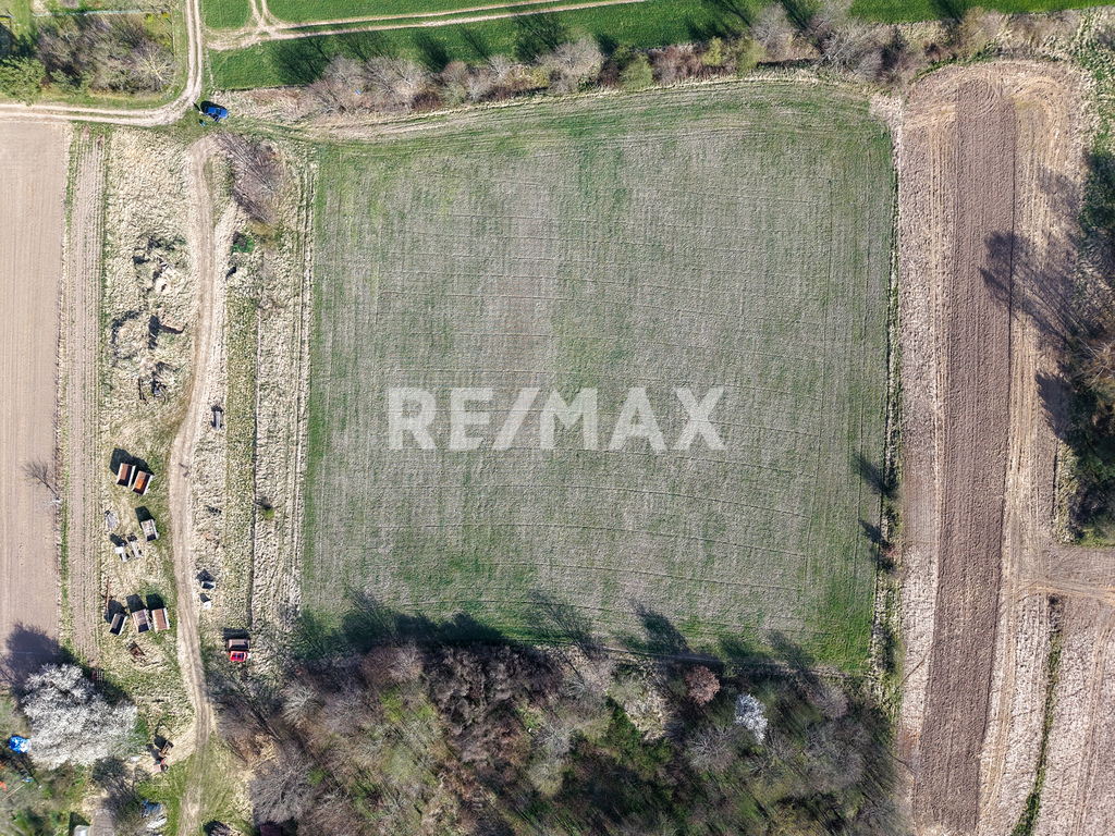 Działka 3000 m2 z potencjałem Gorzyca (4)