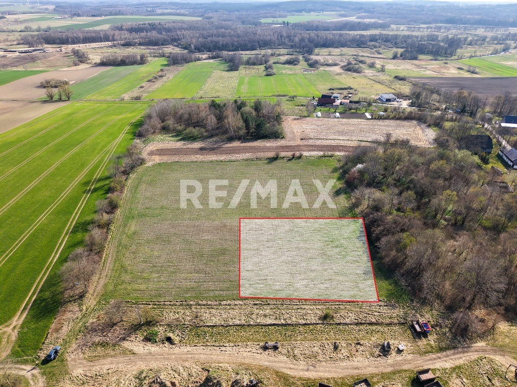 Działka 3000 m2 z potencjałem Gorzyca (1)