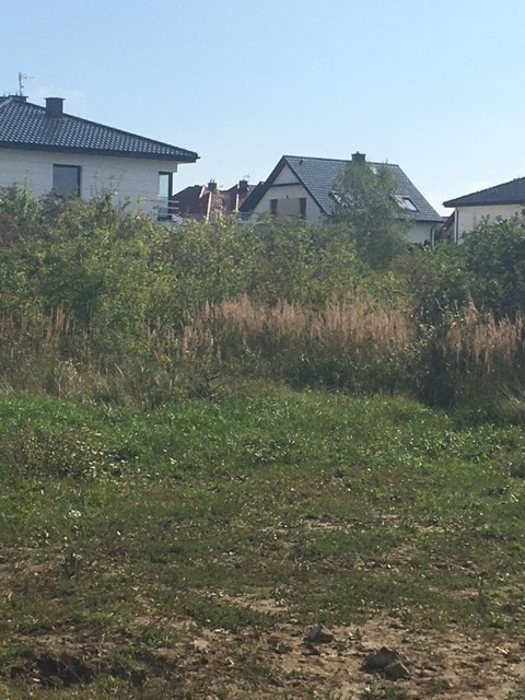 Budowlana, 800 m2, Bezrzecze  (4)