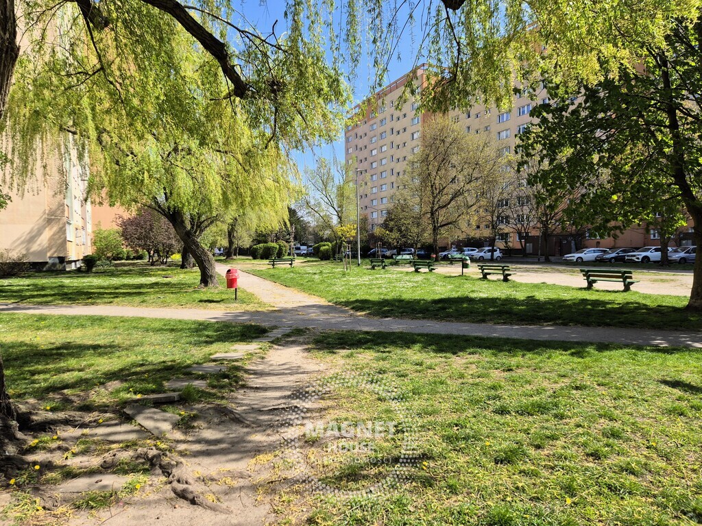 2 pokoje | 1-go Maja | Rezerwacja do 12/09 (17)