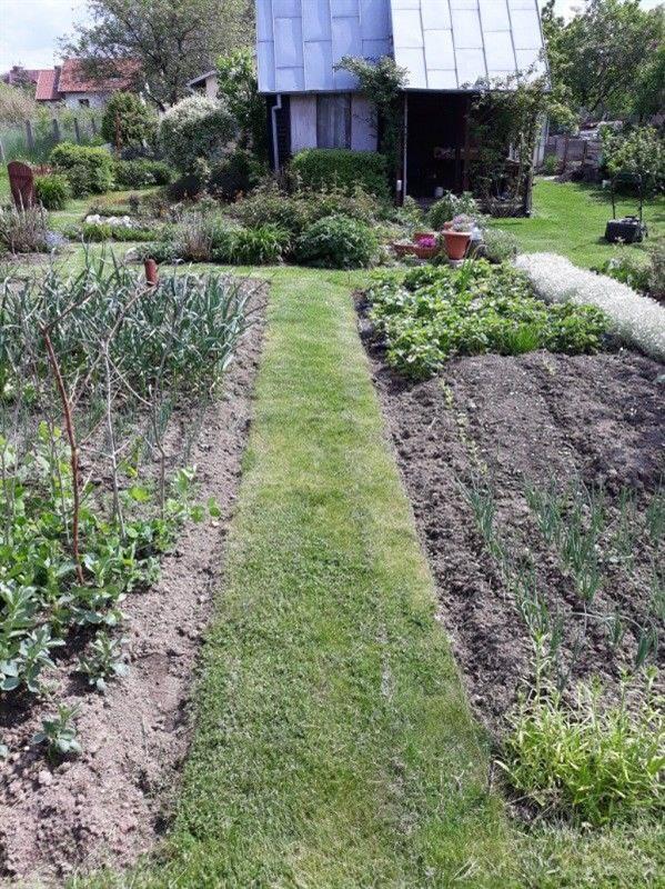 Działka rekreacyjna - Koszalin Unii Europejskiej (1)