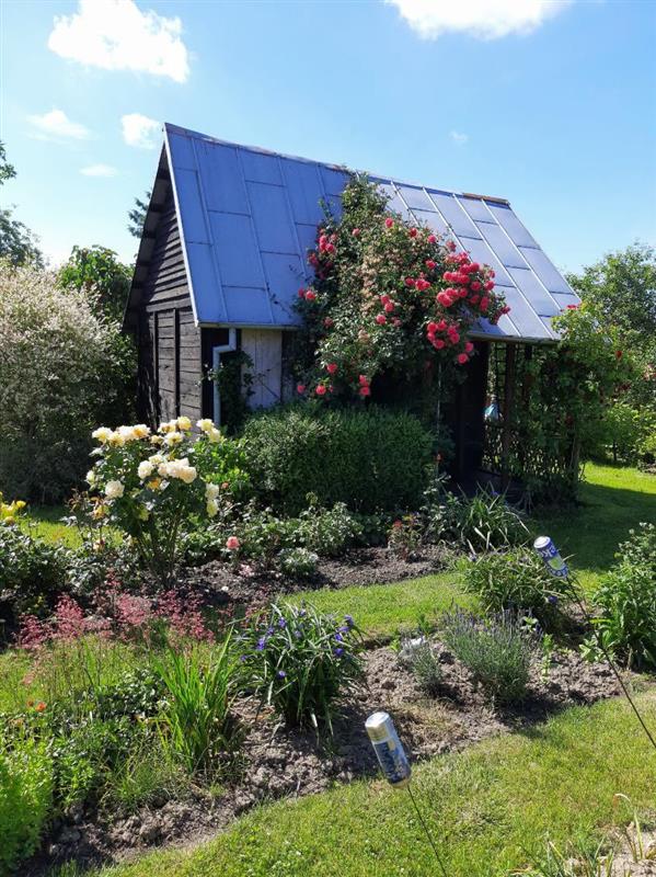 Działka rekreacyjna - Koszalin Unii Europejskiej (2)