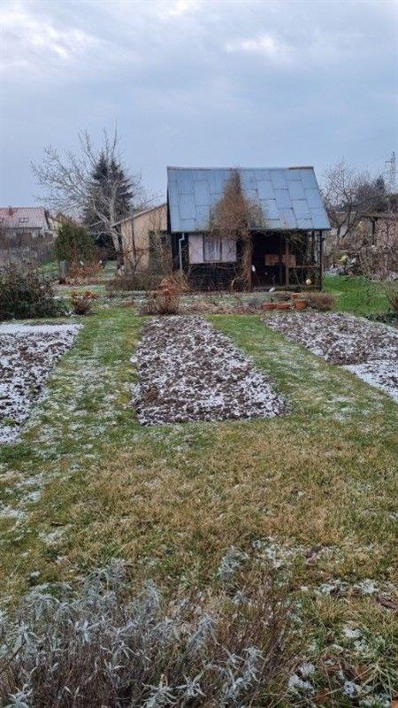 Działka rekreacyjna - Koszalin Unii Europejskiej (5)