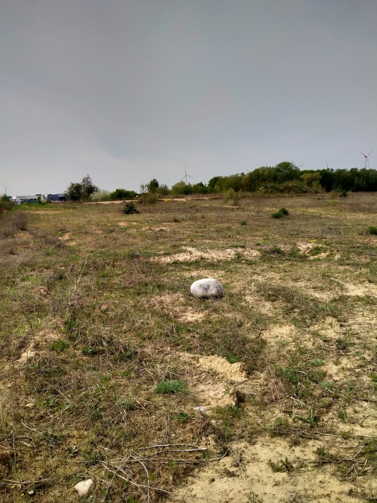 Kołbaskowo1.5994ha,do szybkiej budowy halii 2000m2 (11)