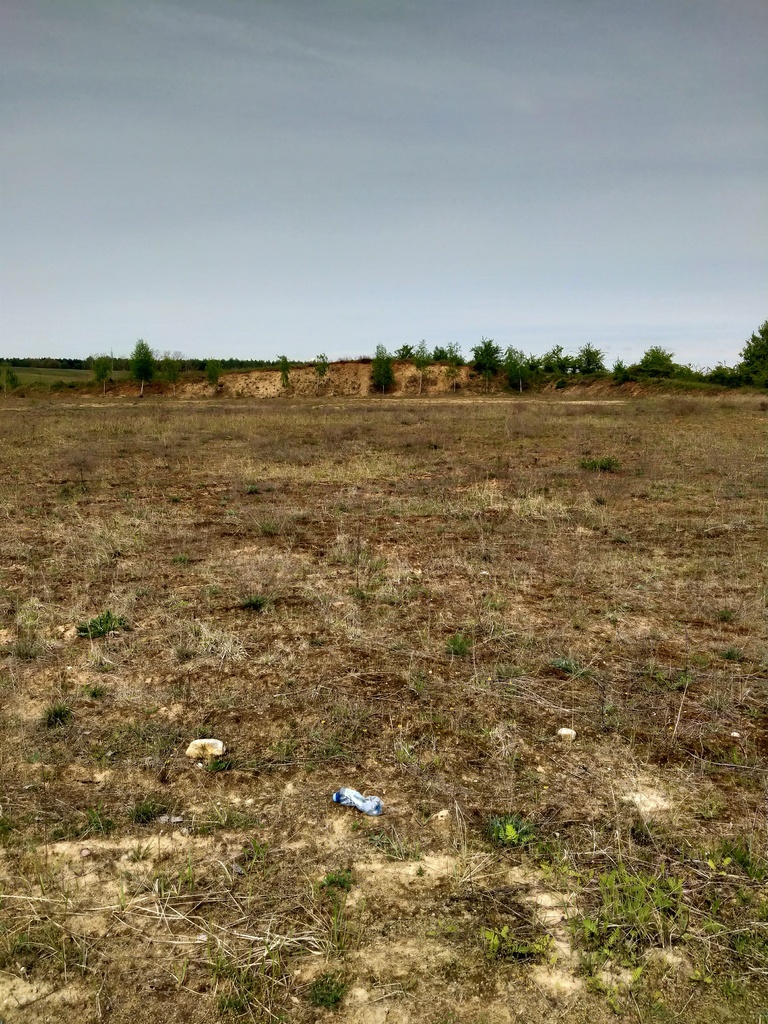 Kołbaskowo1.5994ha,do szybkiej budowy halii 2000m2 (14)