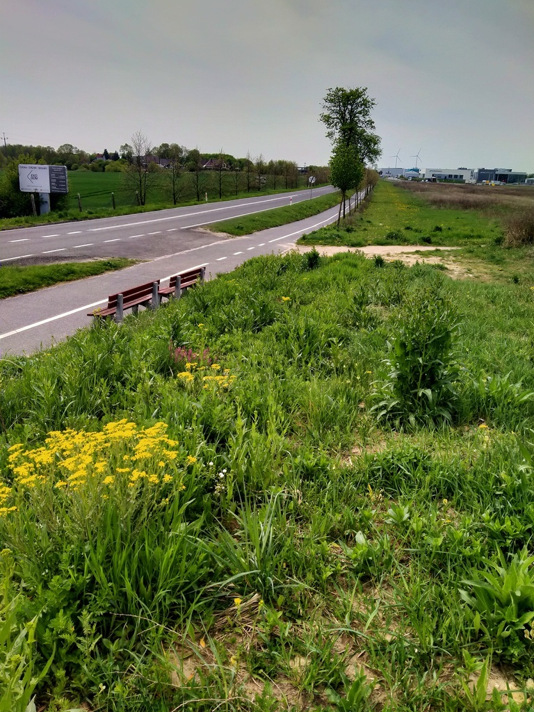 Kołbaskowo1.5994ha,do szybkiej budowy halii 2000m2 (16)