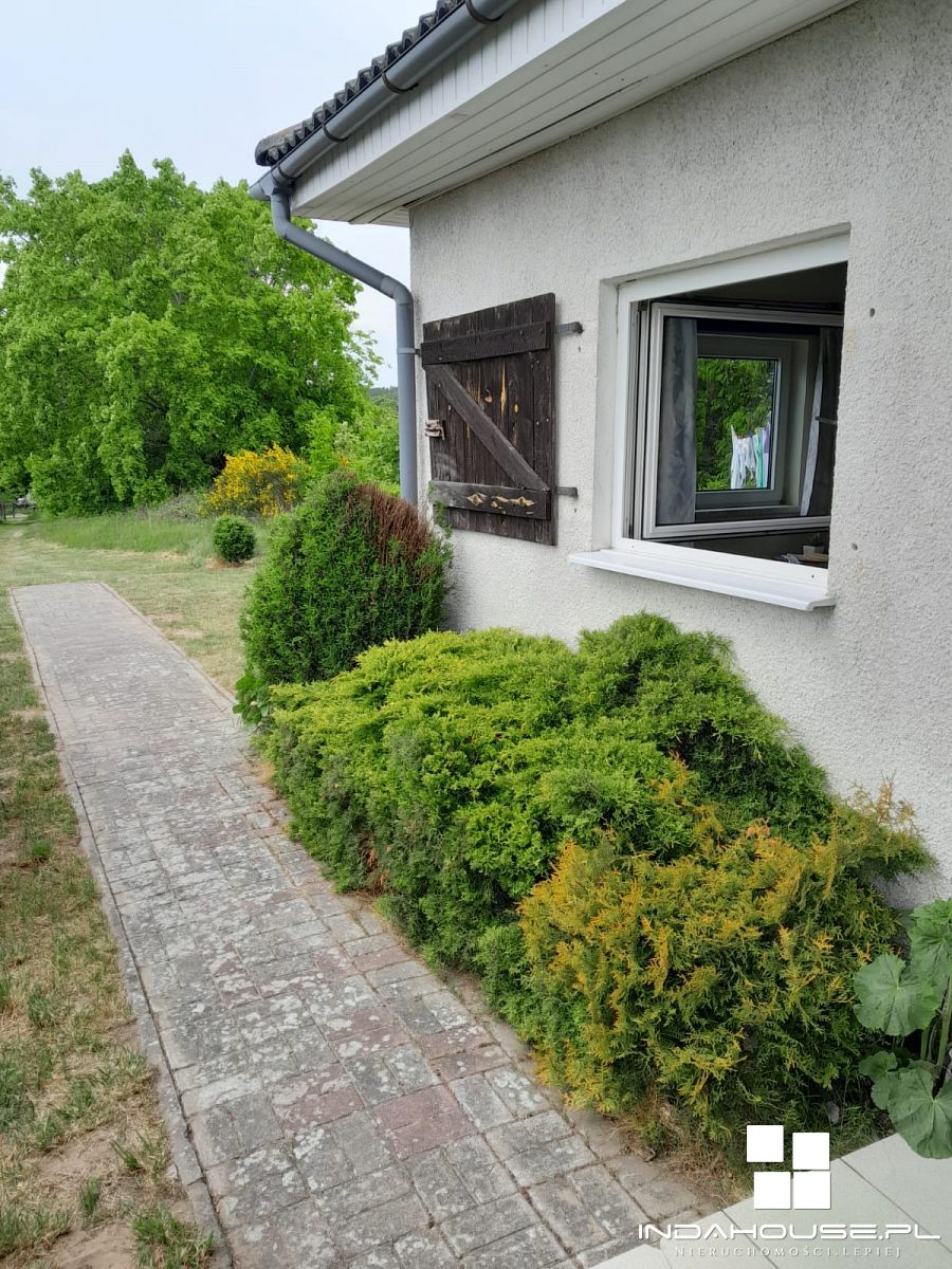 Dom nad morzem, dom parterowy na dużej działce... (23)