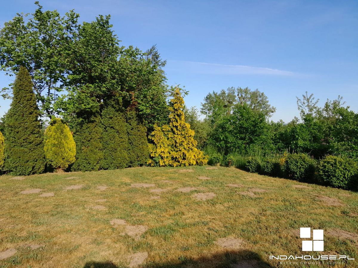 Dom nad morzem, dom parterowy na dużej działce... (24)