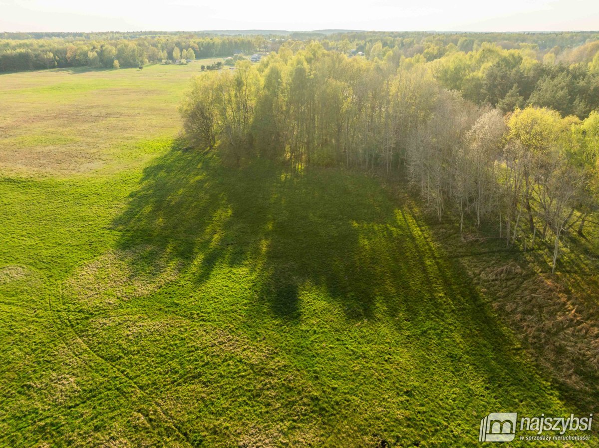 Grzepnica – Działka z wydanymi  WZ z potencjałem (17)
