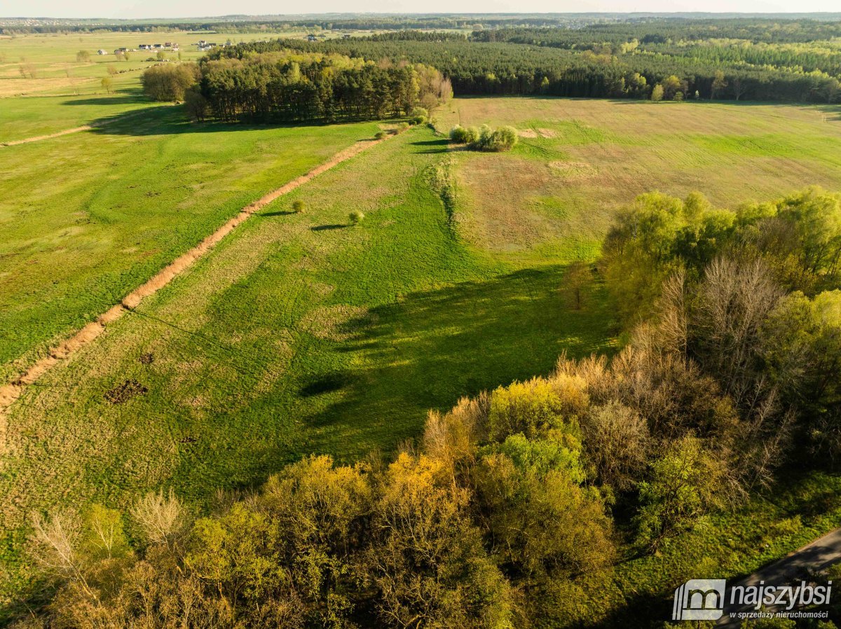 Grzepnica – Działka z wydanymi  WZ z potencjałem (3)
